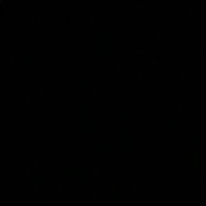 Meet your Posher, Elvis